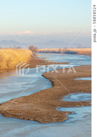 空撮　渡良瀬遊水地　第一調節池の冬 58858524