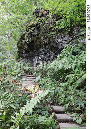 パワースポット 戸隠奥社への参道の石仏 の写真素材