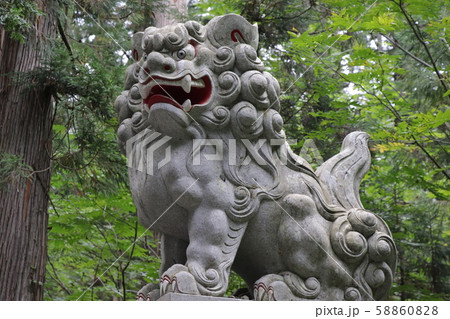 パワースポット（戸隠奥社・随身門・阿形の狛犬） 58860828