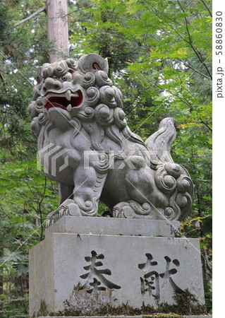 パワースポット（戸隠奥社・随身門・阿形の狛犬） 58860830
