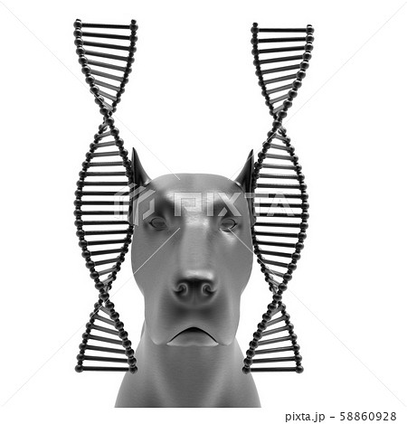 Genetic treatment in veterinary 3d rendering Genetic treatment in veterinary 3d rendering 58860928