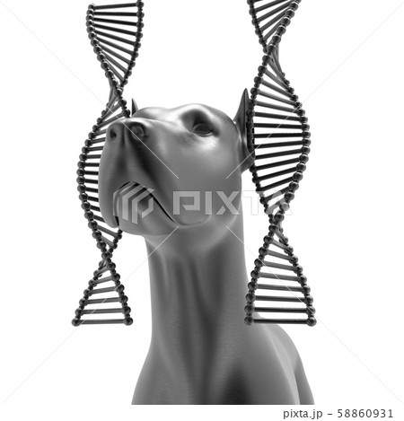 Genetic treatment in veterinary 3d rendering Genetic treatment in veterinary 3d rendering 58860931