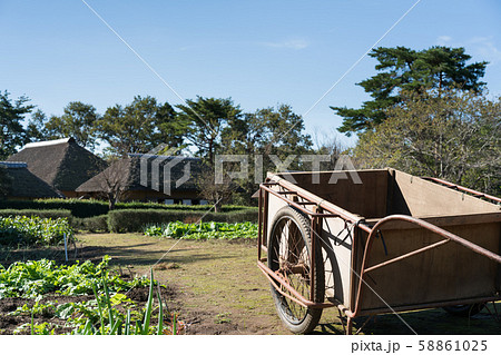 畑に置かれた荷車 畑に置かれた荷車 58861025