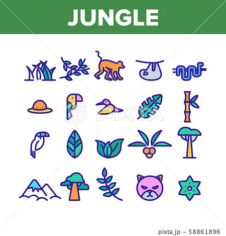 Jungle Forest Collection Elements Icons Set Vector Jungle Forest Collection Elements Icons Set Vector 58861896