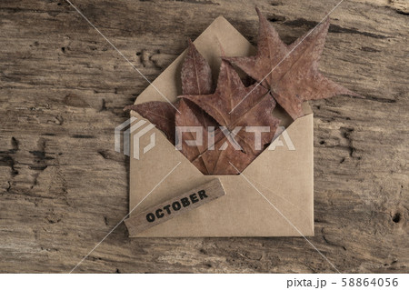 template for october with dried leaves on wooden template for october with dried leaves on wooden 58864056