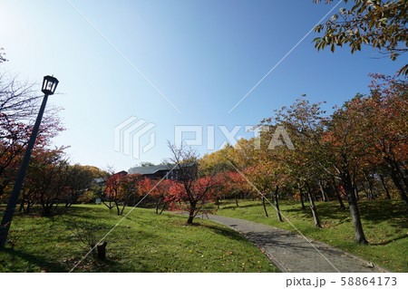 札幌市平岸 天神山緑地 札幌市平岸 天神山緑地 58864173