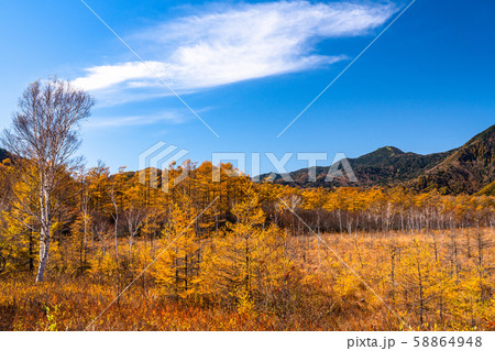 《栃木県》秋の奥日光・戦場ヶ原 58864948