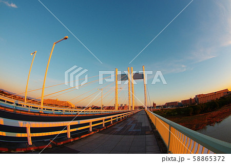 朝日に映える早朝の是政橋 58865372