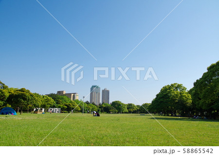 県立幕張海浜公園(千葉市美浜区) 県立幕張海浜公園(千葉市美浜区) 58865542