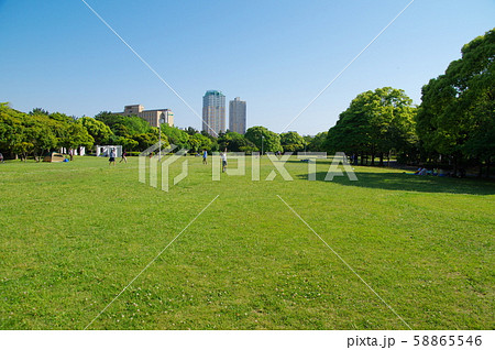 県立幕張海浜公園 県立幕張海浜公園 58865546