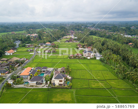 Aerial view of Ubud countryside in Bali 58865769