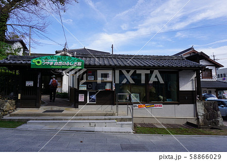 つやま自然のふしぎ館(世界各地の動物の実物はく製を中心とした自然史の総合博物館) つやま自然のふしぎ館(世界各地の動物の実物はく製を中心とした自然史の総合博物館) 58866029