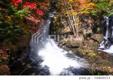 《栃木県》秋の奥日光・竜頭ノ滝 《栃木県》秋の奥日光・竜頭ノ滝 58866053
