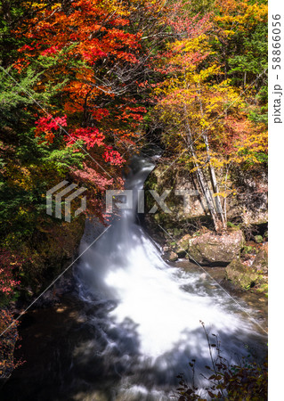 《栃木県》秋の奥日光・竜頭ノ滝 《栃木県》秋の奥日光・竜頭ノ滝 58866056