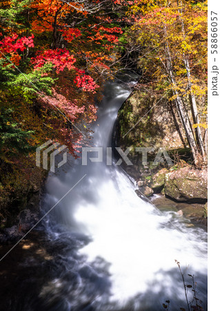 《栃木県》秋の奥日光・竜頭ノ滝 58866057