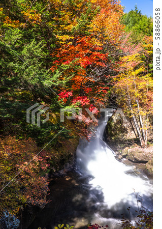 《栃木県》秋の奥日光・竜頭ノ滝 《栃木県》秋の奥日光・竜頭ノ滝 58866058