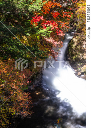 《栃木県》秋の奥日光・竜頭ノ滝 《栃木県》秋の奥日光・竜頭ノ滝 58866061