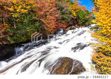 《栃木県》秋の奥日光・竜頭ノ滝 《栃木県》秋の奥日光・竜頭ノ滝 58866227