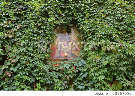 Orthodox Christian icon in the thickets of wild Orthodox Christian icon in the thickets of wild 58867056