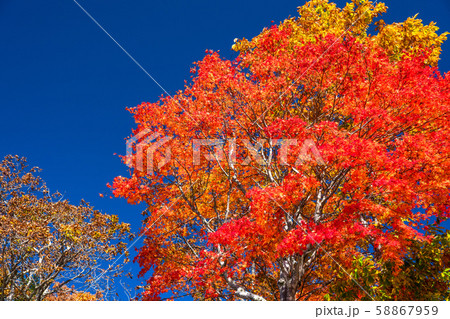《栃木県》空に映える紅葉・秋の奥日光 58867959