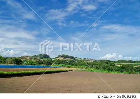 三浦半島南端に広がる畑 三浦半島南端に広がる畑 58869293