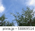 青空 58869514