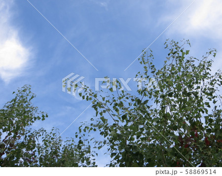 青空 58869514