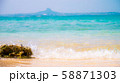 エメラルドビーチ 58871303