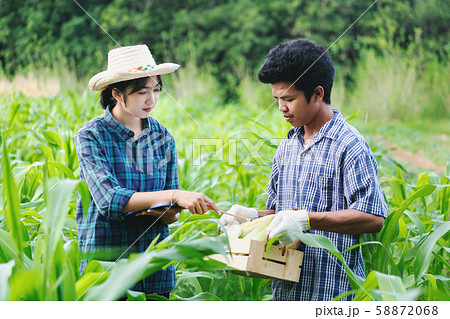 Agriculture Young men and women smart farmers 58872068