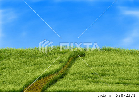 Road in meadow Road in meadow 58872371