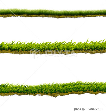 Green grass lines Green grass lines 58872580