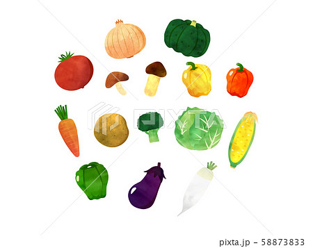 水彩 野菜のイラストセット 水彩 野菜のイラストセット 58873833
