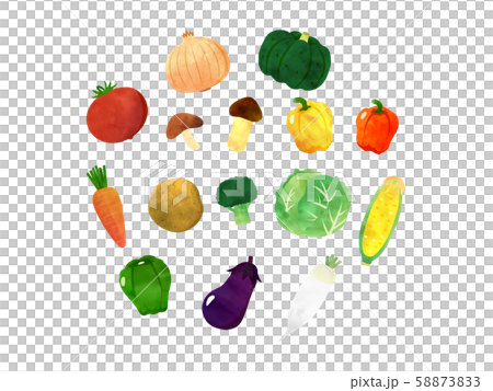 水彩 野菜のイラストセット 水彩 野菜のイラストセット 58873833