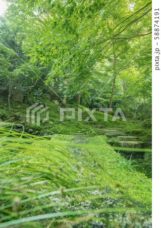 京都　瑠璃光院　お寺　寺社仏閣　紅葉　日本庭園　四季　拝観　特別公開　写真素材　広告 58874191