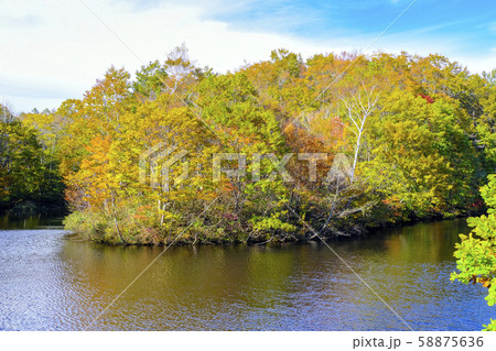 紅葉と玉原湖 58875636