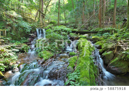 【瓜割の滝】 福井県三方上中郡若狭町天徳寺 58875918