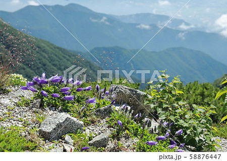 快晴の中央アルプス 58876447