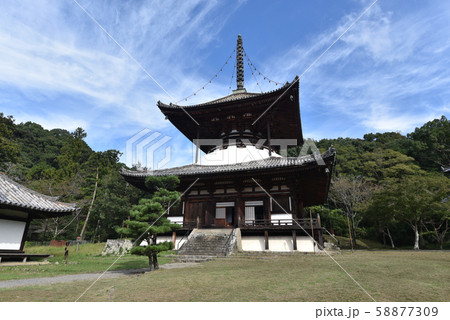 根来寺　大塔 58877309