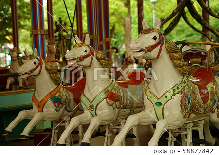 メリーゴーランド　回転木馬　遊園地 58877842