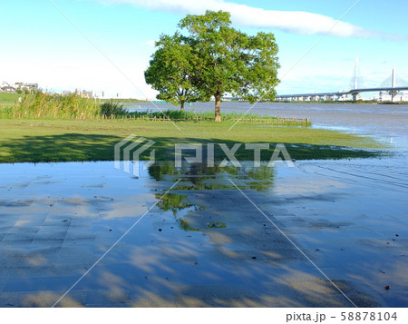 台風一過の荒川 58878104