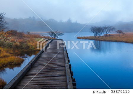 赤城山 紅葉の覚満渕 赤城山 紅葉の覚満渕 58879119