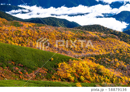 《長野県》雲の上の紅葉・乗鞍岳 《長野県》雲の上の紅葉・乗鞍岳 58879136