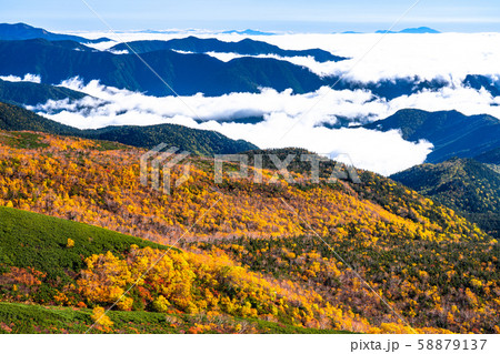 《長野県》雲の上の紅葉・乗鞍岳 《長野県》雲の上の紅葉・乗鞍岳 58879137