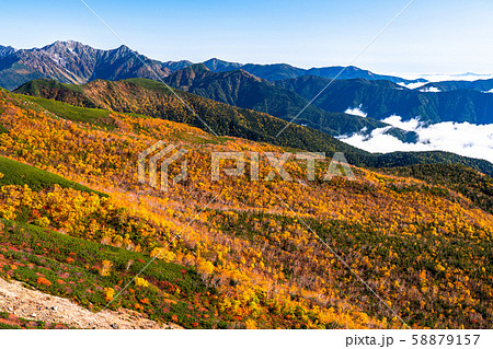 《長野県》雲の上の紅葉・乗鞍岳 《長野県》雲の上の紅葉・乗鞍岳 58879157