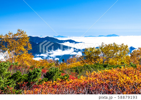 《長野県》雲の上の紅葉・乗鞍岳 《長野県》雲の上の紅葉・乗鞍岳 58879193