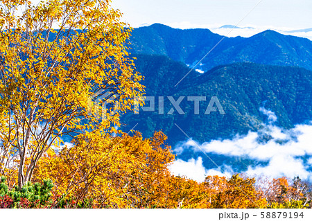 《長野県》雲の上の紅葉・乗鞍岳 《長野県》雲の上の紅葉・乗鞍岳 58879194