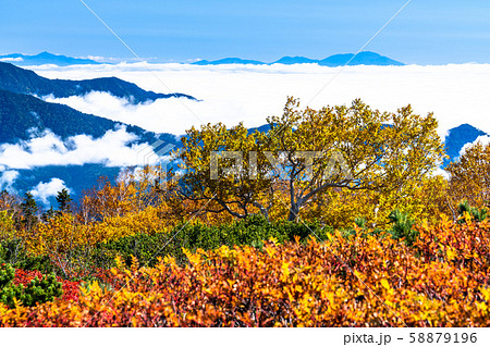 《長野県》雲の上の紅葉・乗鞍岳 《長野県》雲の上の紅葉・乗鞍岳 58879196