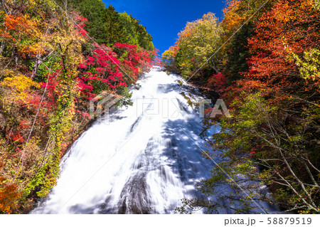 《栃木県》秋の奥日光・湯滝 《栃木県》秋の奥日光・湯滝 58879519