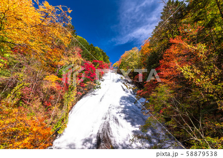 《栃木県》秋の奥日光・湯滝 《栃木県》秋の奥日光・湯滝 58879538