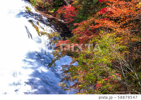《栃木県》秋の奥日光・湯滝 《栃木県》秋の奥日光・湯滝 58879547